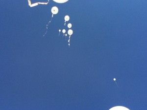2014-04-25 12.57.36