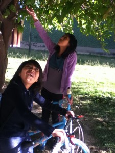 Bryssa and Evelyn snacking on mulberries in the park.